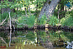 Wiosna z łodzi