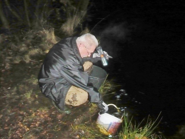 Nocne Zarybianie