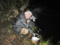Nocne Zarybianie
