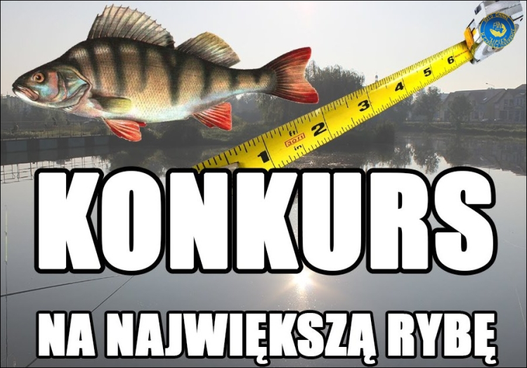 Konkurs na największa rybę 2024