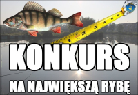 Konkurs na największa rybę 2024
